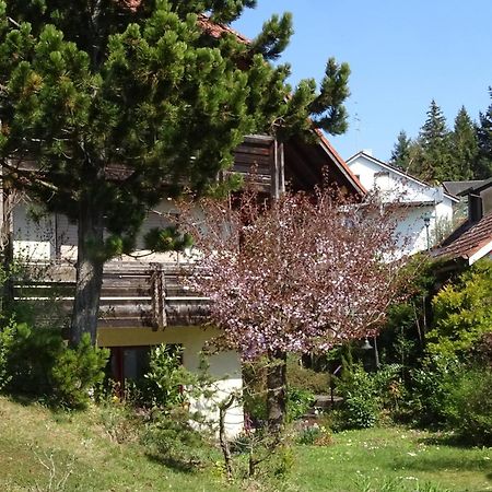 Ferienwohnung Heidi Batzlen Daisendorf Bagian luar foto
